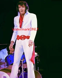 "Elvis Presley" "King of Rock & Roll" wunderschönes "Pin Up" FOTO! #(214) - Bild 1 von 2