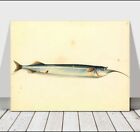 VINTAGE FISH ART - Garfish - CANVAS ART PRINT POSTER - 24x16"