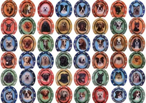 Double sided spinning Dog keychain- various dog breeds Labrador, Dachshund etc - Picture 1 of 50