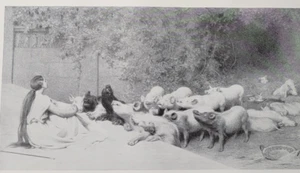 Homer Odyssey CIRCE (Witch-goddess) & HER SWINE (Men) Briton Riviere 1892 Print - Picture 1 of 3