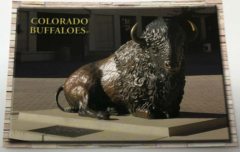 NEW University of Colorado at Boulder Buffaloes CU Buffs Postcard Ralphie Folsom Cover