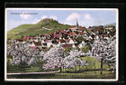 Ansichtskarte Weinsberg /Weibertreu, Weinsberg im Blütenschmuck, mit Burg 