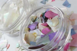 Crushed Shell Fragments Pieces for Nails & Crafts Art Embellishment Abalone - Picture 1 of 7