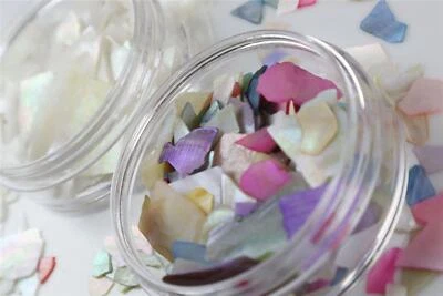 MEENA Crushed Shell Fragments Pieces for Nails & Crafts Art Embellishment Abalone