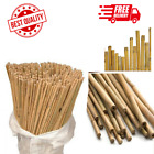6FT Bamboo Canes Thick Stake Garden Plant Flower Support Professional Stick Cane