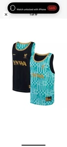 Nike Liverpool X LeBron James Kids  Double Sided/Reversible Jersey, Medium - Picture 1 of 6