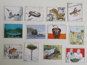 57102 Fg62/ Lotto 12 Figurine - ed. Panini - WWF Natura da salvare - Foto 1 di 4