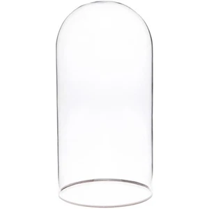 Plymor 5,5" x 11" Glas Display Kuppel Cloche mit Silberrand (ohne Sockel) - Bild 1 von 1