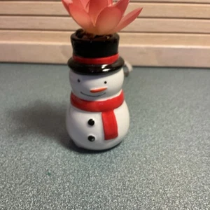 Urlaub Faux Sukkulente Schneemann - Bild 1 von 5