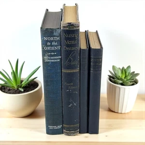 Antique Vintage Books Lot Of Blue Tones Prop Shelf Display Decor Stack - Picture 1 of 6