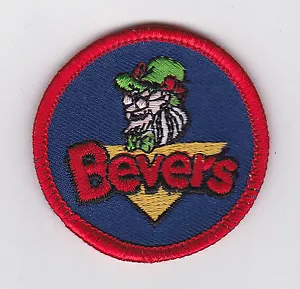SCOUTS OF HOLLAND - NEDERLAND / DUTCH BEAVER SCOUT EMBLEM PATCH - Picture 1 of 2