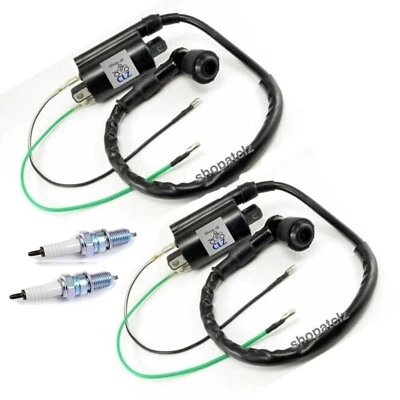 2x Bobina de encendido y bujía para Kawasaki KAF620 Mule 4010 4x4 2009-2021 Foto 1 de 3