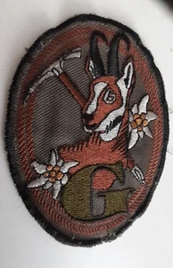 SLOVENIA ARMY PATCH 132nd Mountain Battallion Slovenian army Typ II. - Picture 1 of 2