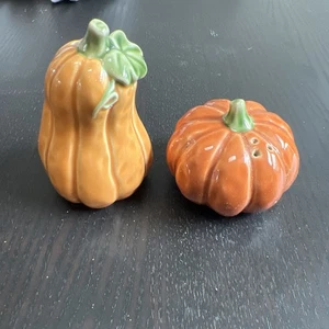 Kürbis Salz und Pfefferstreuer  - Bild 1 von 1