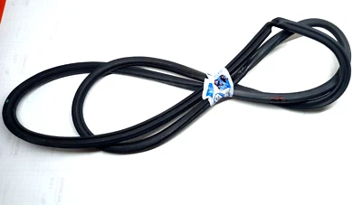 Junta de sellado de resistencia para puerta trasera derecha OEM Lexus GS300 GS350 GS430 GS460 Foto 1 de 4