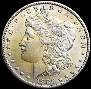 1886 O DÓLAR DE PLATA MORGAN PLUMAS DE PECHO DE ALTA CALIDAD TONIFICACIÓN ÚNICA # 0138 - Imagen 1 de 2