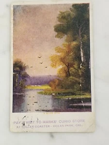 Postal publicitaria "Marks' Curio Store Ocean Park, Cal" publicada 1910 - Imagen 1 de 4