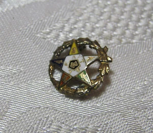 Fraternal Organization Vintage Star Pin - Picture 1 of 3