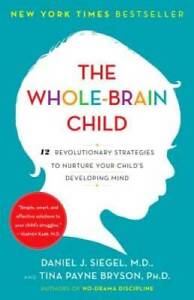 The Whole-Brain Child: 12 Revolutionary Strategies to Nurture Your C - VERY GOOD