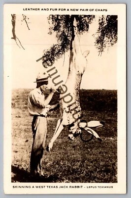 Real Photo West Texas Hunter w/ Exaggerated Giant Jack Rabbit TX RPPC RP D604 - Image 1 of 2