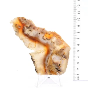 Angel Wing Jasper 4 x Slabs 388g Pack, Lapidary, Cabbing, Gemstone Slabs - Picture 1 of 4