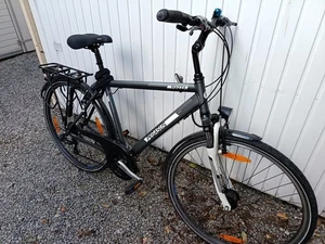 Pegasus Herrenfahrrad - Bild 1 von 6