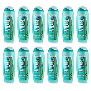 VIDAL Duschgel Weißer Moschus / wild musk 12x 250 ml Vorratspackung - Bild 1 von 5