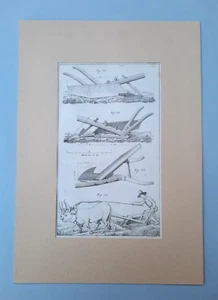 AGRICULTURE AGRICULTURAL TOOLS AND TECHNIQUES (PLOWING OF THE FIELDS) 19TH CENTURY A4 - Picture 1 of 10
