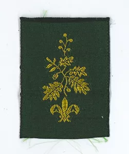 1960's UK / BRITISH SCOUTS - ROVER SCOUT (RS) RAMBLER RANK AWARD BADGE - Picture 1 of 2