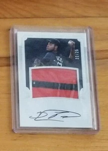 2017 National Treasures RC Jsy Signatures #RSJV-DP David Paulino /25 auto patch - Picture 1 of 1