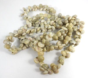 Vtg Hawaiian Luau Necklace Beige Seashell Lei Graduation Wedding Party Ethnic - Picture 1 of 3