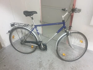Herrenfahrrad 28 Zoll gebraucht Pegasus - Bild 1 von 12