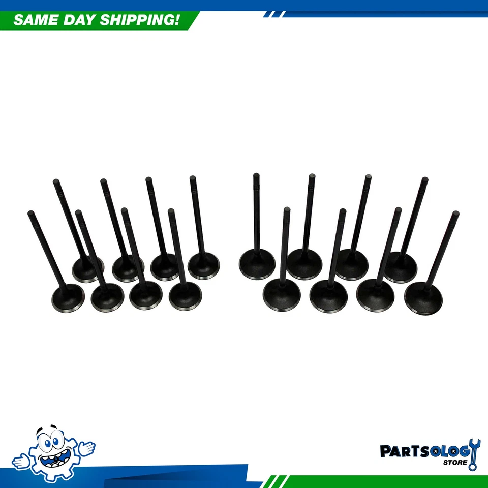 Комплект впускного клапана выхлопной системы DNJ VK16325 для 04–08 Chevrolet Aveo Aveo5 1,6 л DOHC - Изображение 1 из 1