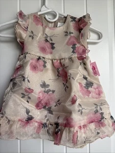 NEW NWT Rare Editions Girls 24 Months Beautiful Rose Floral Formal Dress - Picture 1 of 5