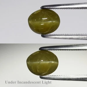 💎 1.76ct Oval Cabochon Natural Green Cat's Eye Chrysoberyl - Sri Lanka Gemstone - Picture 1 of 6