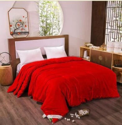 Soft Warm Silk Quilts  Beds Natural Mulberry Silk Blanket Twin Queen King Quilts - Image 1 of 4