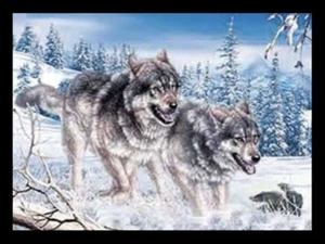 BLACK FRAMED WOLF PAIR WITH CUBS - 3D PICTURE PRINT 425mm x 325mm - Picture 1 of 2