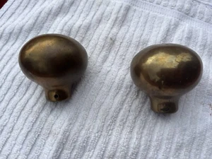 Nice Antique Brass Knob Horse Hanes/walking Stick - Bild 1 von 5