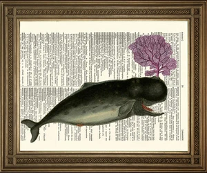 VINTAGE WHALE PRINTS: Spouting Pink Coral or Water, Dictionary Page Sea Life Art - Picture 1 of 3