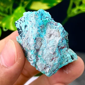 Muestra mineral en bruto racimo transparente malaquita brillante natural 30G - Imagen 1 de 12