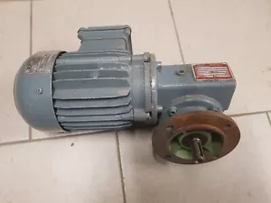 Getriebemotor MAZ BRUCHSAL; Typ 63L/4; 230/400 V gebraucht - Bild 1 von 5