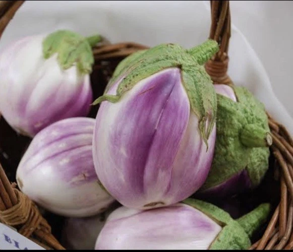Italian Rosa Bianca Eggplant 50 Seeds Heirloom Variety EASY TO GROW - Image 1 of 1