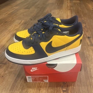 Size 9.5 - Nike Terminator Low Michigan - Picture 1 of 6