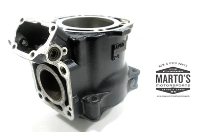 BUEN FABRICANTE DE EQUIPOS ORIGINALES YAMAHA 1999-2005 GPR XLT LIMITED 1200 PWC JARRA CILINDRO NIKASIL Foto 1 de 4