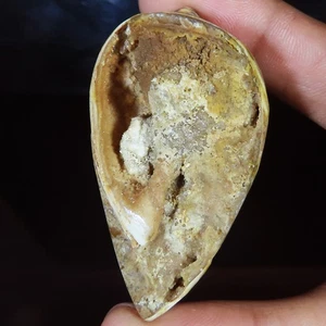 154.30 Cts Natural Fossil Snail Druzy , Fossil Snail Gemstone 30x56x19 mm WR493 - Picture 1 of 7