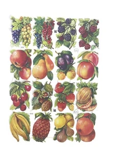 Media hoja de frutas vintage EAS Alemania troqueladas imágenes completas oblatas 3155 - Imagen 1 de 3