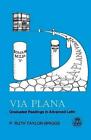 Via Plana Graduated Readings In Advanced Latin By P Ruth Taylor Briggs Englis