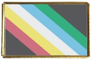 Disability Pride LGBTQ Regenbogen goldfarbenes Abzeichen mit Samtbeutel - Bild 1 von 4