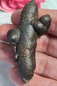 Large 2.5" 53g Prophecy Stone Z "Saguaro Cactus Wand" Egyptian 3rd Eye Meditate - Picture 1 of 21