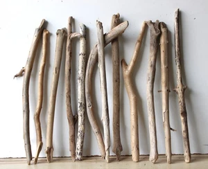 Madera flotante Driftwood 12 ramas decoración 47-52 cm **E62** - Imagen 1 de 15